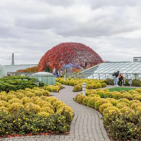 Lumina Luxury 3-rooms In Apartament